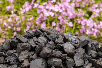 a coal heap with beautiful blooming flowers in the background, Environmental concept, zero emission, climate goal, Energy industry, green energy, reducing carbon footprint, Energy saving.