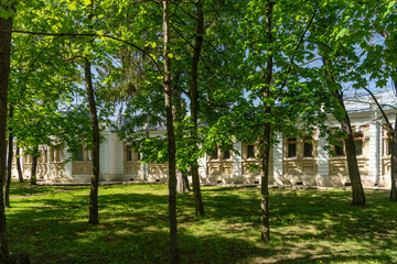 Obraz premium Spring Park