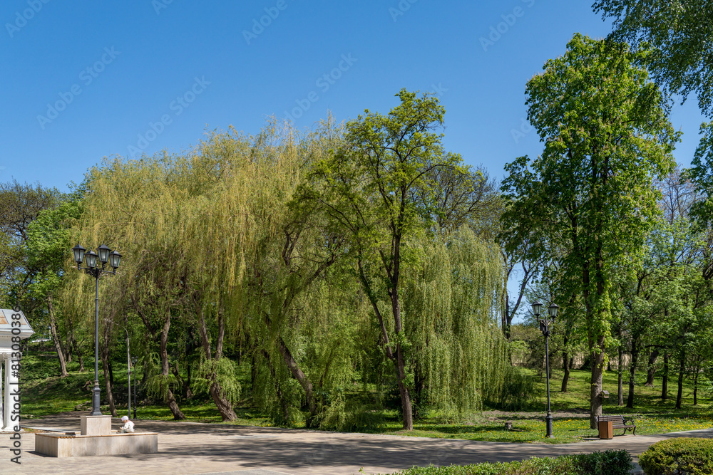 Canvas Prints Spring Park