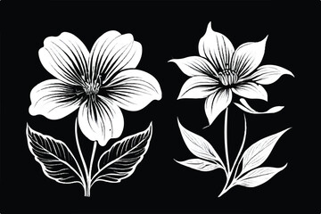 Black and white floral pattern. Flower bouquets. White flowers and black background. Floral Background.