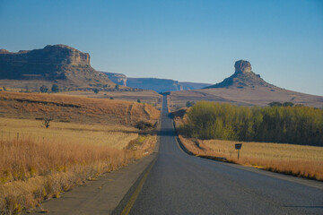 Spotted hyena side portrait in Kruger national park