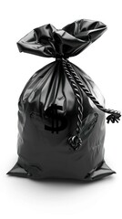 Money bag, 3d on white background