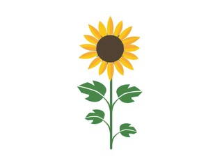 sunflower logo illustration, white background
