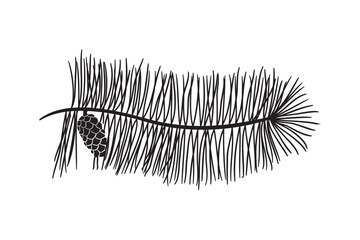 Obraz premium Leaves bundle SVG, greenery floral leaf svg, floral divider svg, leaves svg, leaf svg, decorative border svg, frame svg, text divider svg, border svg, greenery vines bundle