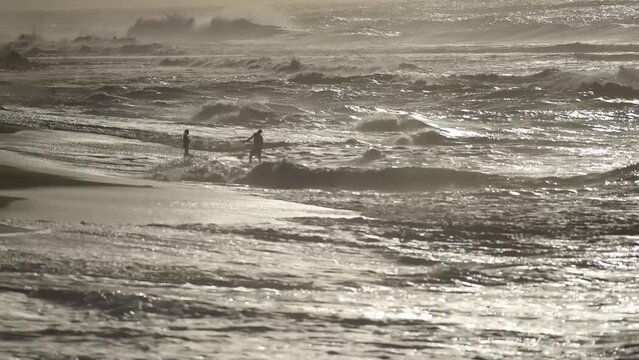 Playing in the surf