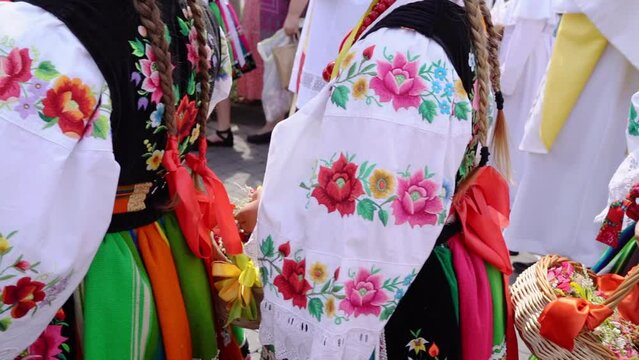 Łowicz Corpus Christi celebration. Young girls in traditional Masovian costumes throwing flower petals during religious procession. Slow motion video. Polish folklore