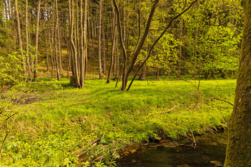Obraz premium beautiful landscape in mill valley in the thuringian woodland betweeen Eisenberg and Bad Klosterlausnitz
