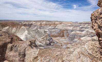 The Blue Mesa trail among badland hills of bluish bentonite clay and petrified wood in the...