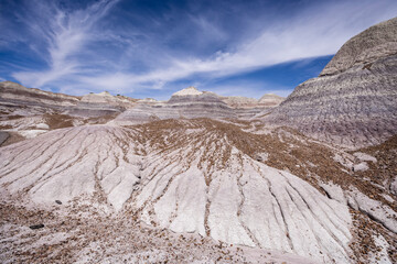 Badland hills of bluish bentonite clay along the Blue Mesa trail in the Petrified Forest National...