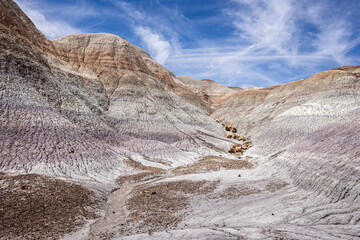 Badland hills of bluish bentonite clay with petrified wood  along the Blue Mesa trail in the...