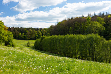 beautiful landscape known as Hell valley near Mosbach in the thuringian forest