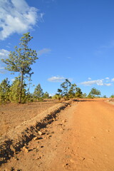 Playa la guajira Colombia