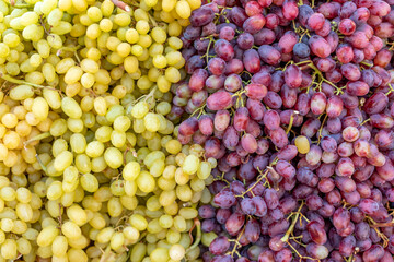 Natural background made of different grapes. Food background.