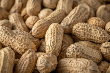 Close-up view of peanut in a shell. Food background. Top view.