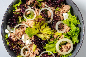 Tuna salad with lettuce, cheese, onion and cucumber. Close-up.