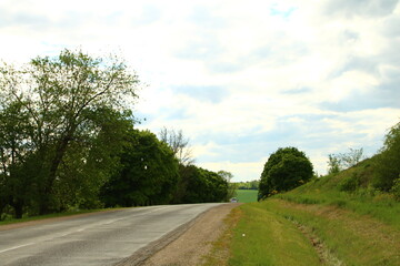 A road with trees on the side