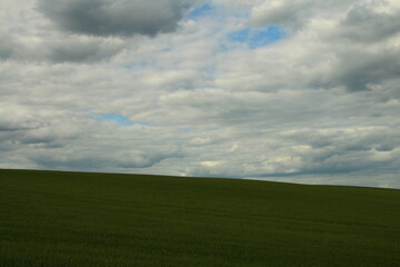 A large green field