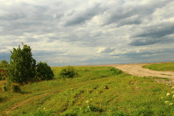 A grassy field with trees and a cloudy sky