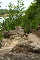 A rocky hill with trees and bushes