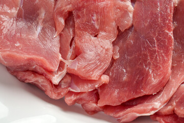 Fresh sliced dietary turkey meat. Raw poultry fillets in a white plate close up