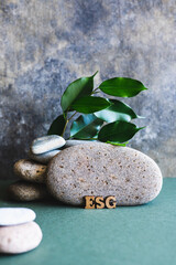 ESG concept wooden letters near a stone and branches with leaves on a green vertical view