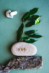 ESG concept letters on stone, branch with leaves and tree bark on green top and vertical view