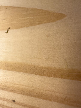Wood alpha texture design