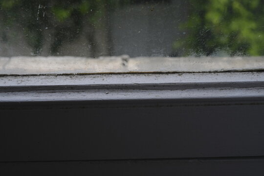 Windows dirt alpha texture