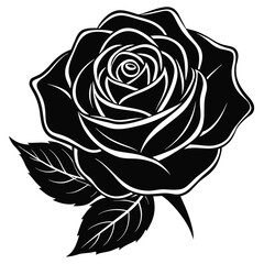 bloom flower floral rose silhouette black, white background