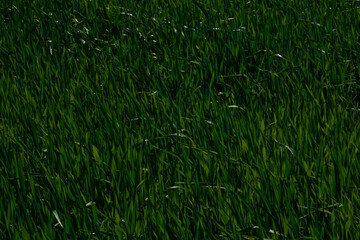 photographs of beautiful landscapes with lagoons and white clouds,