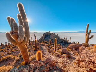Isla Incahuasi (cactus island) Uyuni salt flat in Bolivia