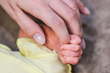 Handles and legs of the newborn baby