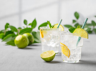 Two glasses of mojito cocktail or tonic with lemon, lime, mint and ice. Summer concept of...