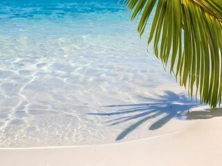 Fototapeta na wymiar palm tree on the caribbean beach