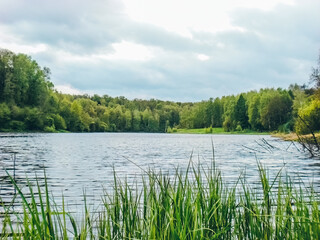 Obraz premium view of a lake in the forest. Spring scenery in natural woodland.