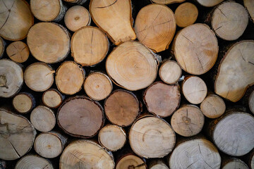 A pile of firewood macro shooting