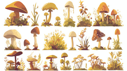Mushrooms forest plants image hatching or engraving
