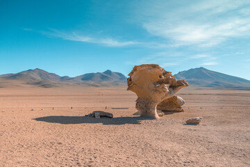Rock or Stone tree from Bolivia also known as Arbol de Piedra near Uyuni