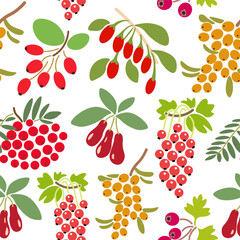 color isolated seamless pattern berries in flat shape style in vector. template for backdrop textile wallpaper wrapping background print decor design