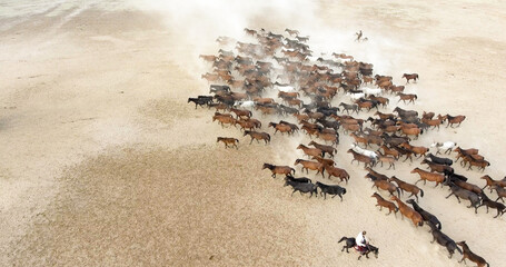 A herd of horses is running across a sandy field. aerial view of a herd of horses
