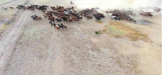 A herd of horses is running across a sandy field. aerial view of a herd of horses