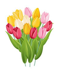 Bouquet of colorful tulips isolated on white background. Vector illustration.