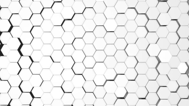 Hexagon Duplicate White Background
