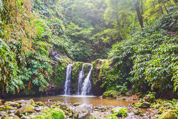 Majestic waterfall in lforest at Sao Miguel island, Portugal