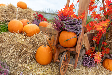 Rustic Autumn Pumpkin Still Life Arrangement With Hay Bales And Wooden Wagon In Countryside Setting