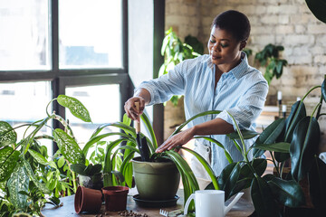Relaxing leisure hobby concept, spring home gardening. Young African American housewife taking care...