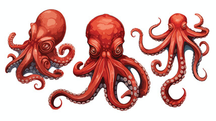Red Octopus for menu or tattoo design realistic vec