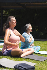 Diverse senior female friends practicing yoga outdoors