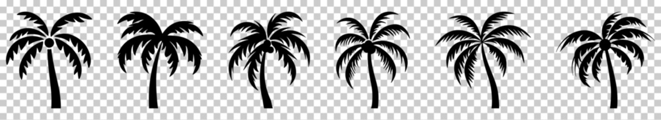 Palm trees silhouette set isolated on transparent background