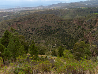 Panoramic view of the Bandama caldera, 1000 meters in diameter and 200 meters deep in Gran Canaria , Spain